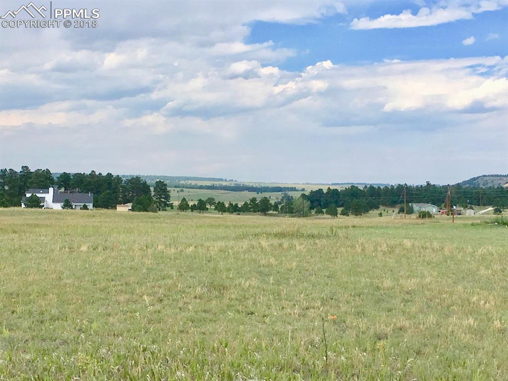 12960 Green Meadow Drive - Photo 1