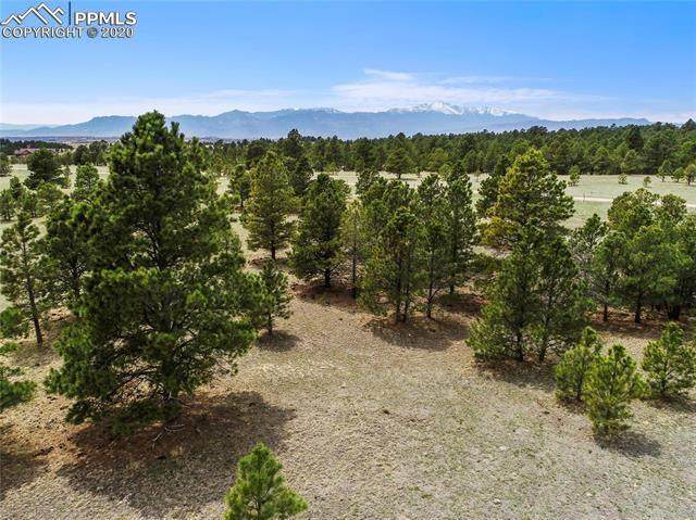 8580 Forest Line Way - Photo 1 8580 Forest Line Way - Photo 1