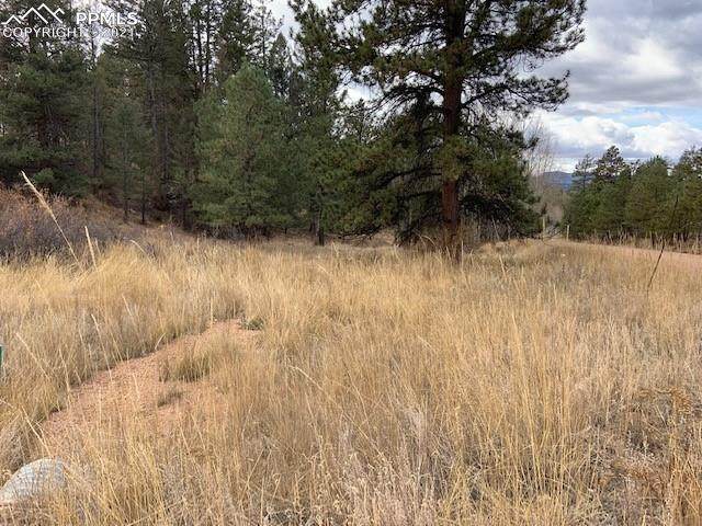 186 Navajo Trail - Photo 1