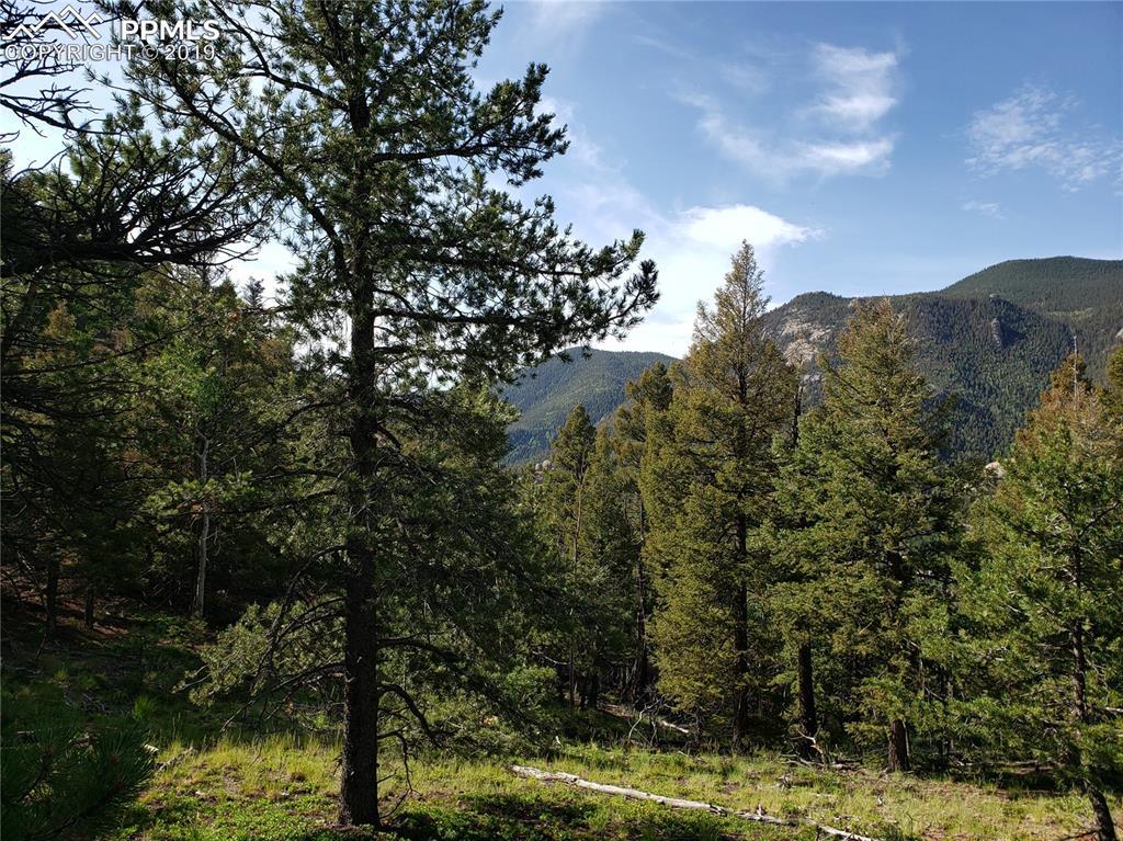 141 Sunrise Peak Road - Photo 1
