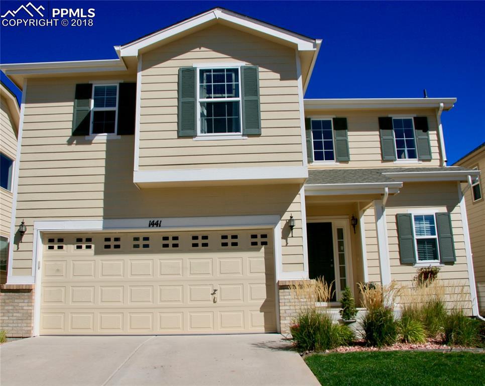 1441 Red Mica Way - Photo 1