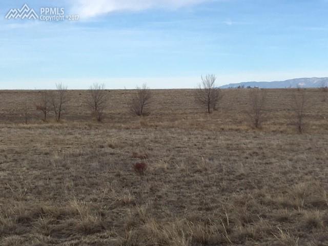 21223 Goldeneagle Drive - Photo 1