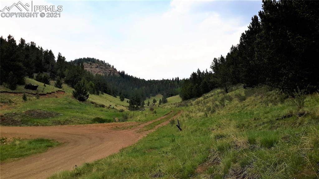 10701 Highway 67 Highway - Photo 1