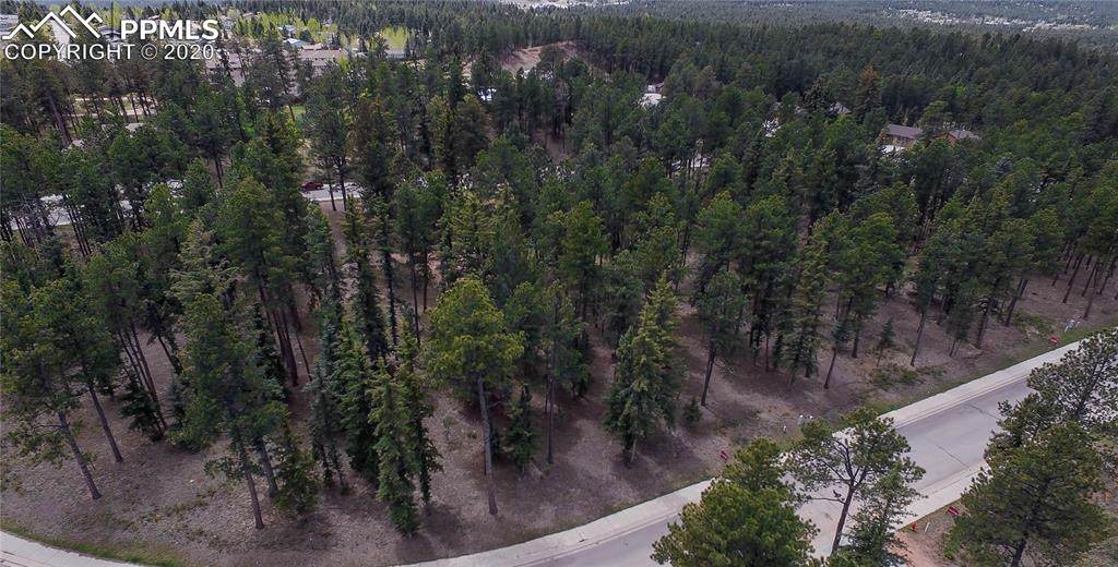 645 Chipmunk Drive - Photo 1
