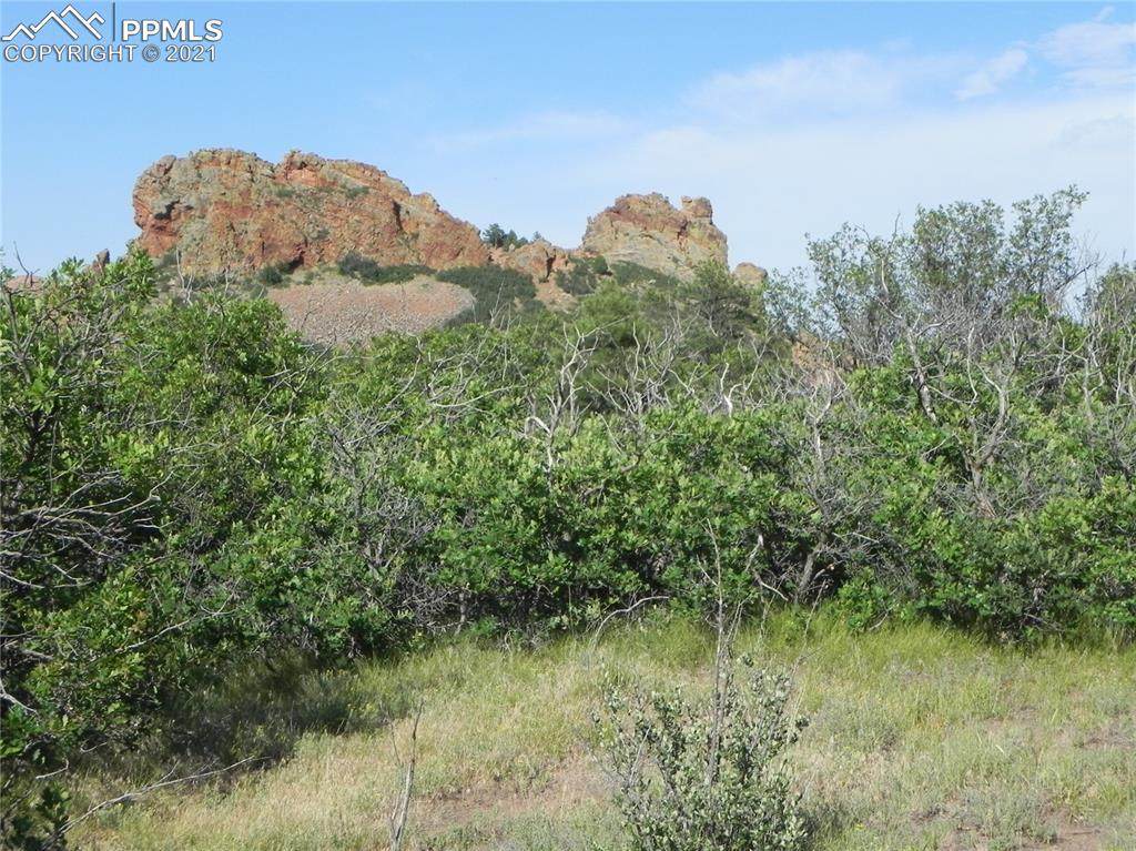 6291 Perry Park Boulevard - Photo 1