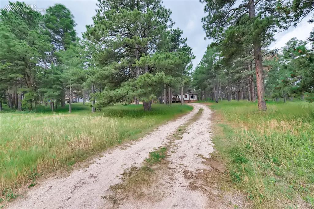 7925 Cyprus Road - Photo 1