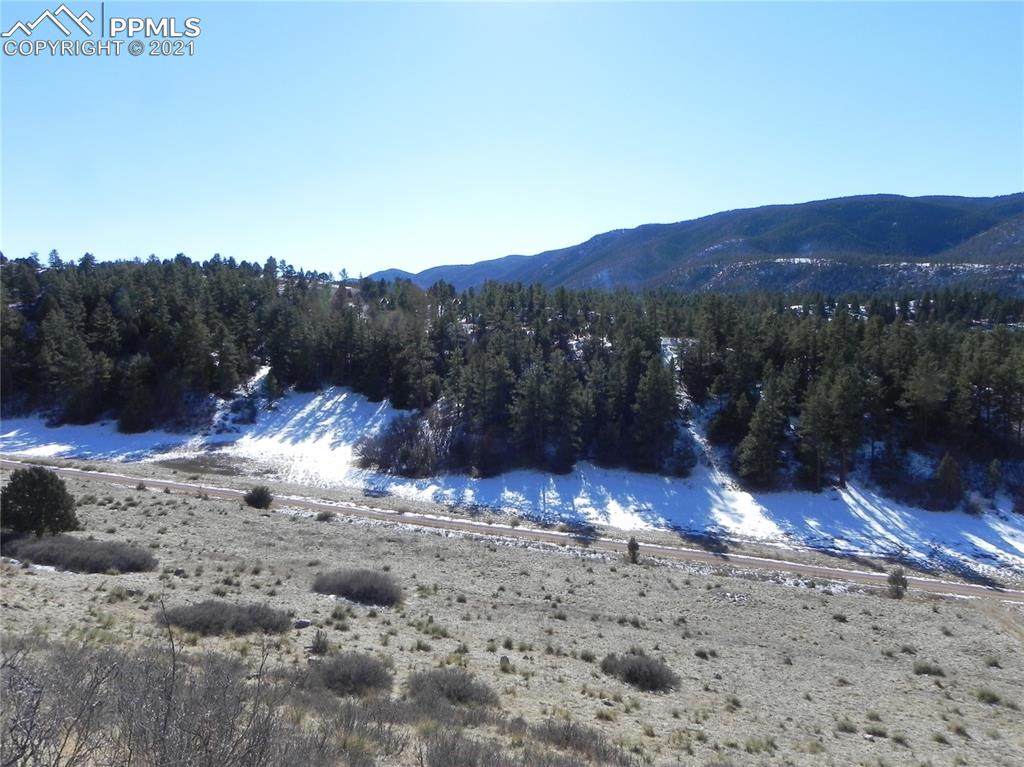 4890 Comanche Drive - Photo 1