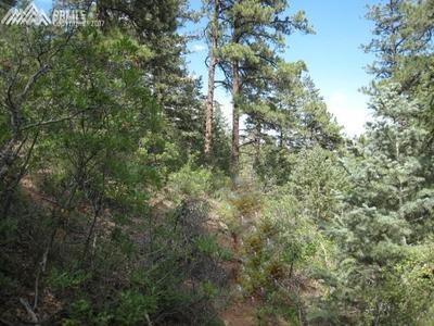 1514 Gardiner Rock Lane - Photo 1