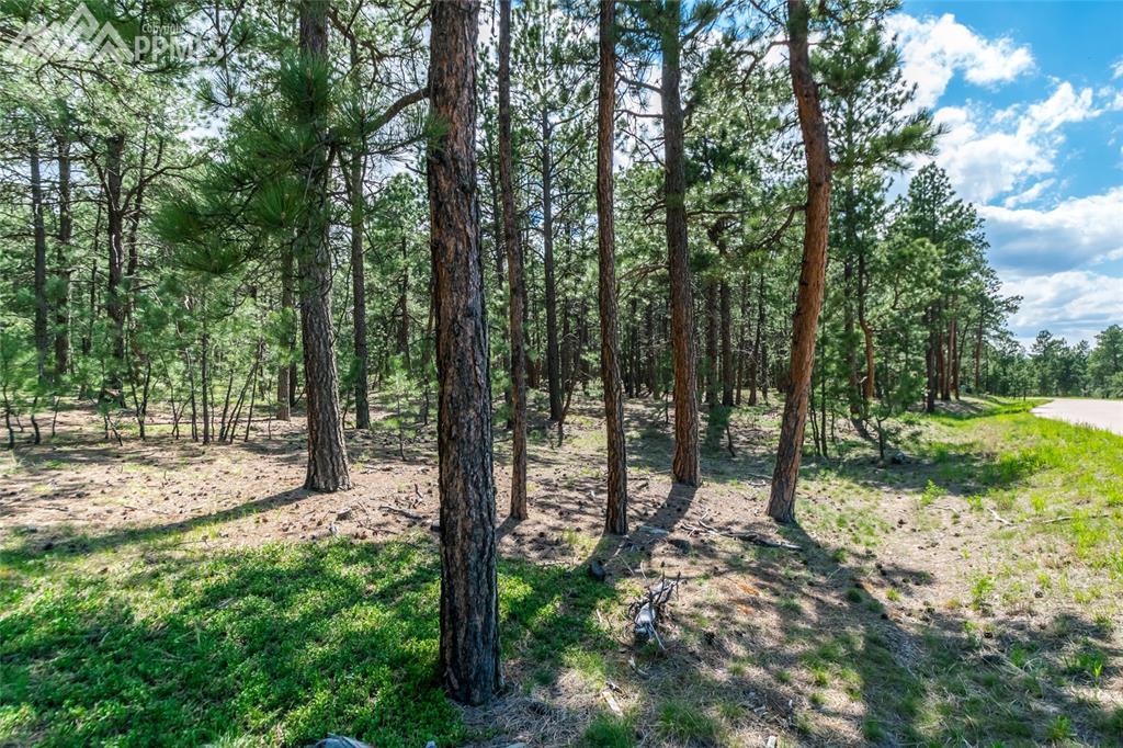 19084 Hilltop Pines Path - Photo 1