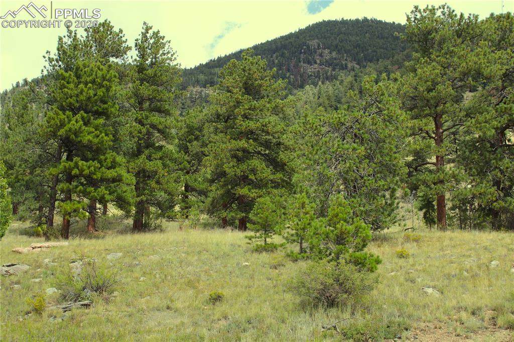  Highway 24 - Photo 1
