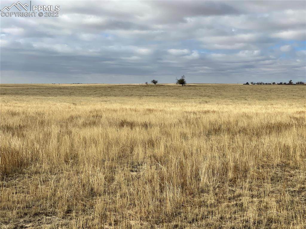 Shear Road - Photo 1