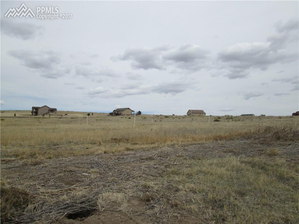 1715 Aldrin Place - Photo 1