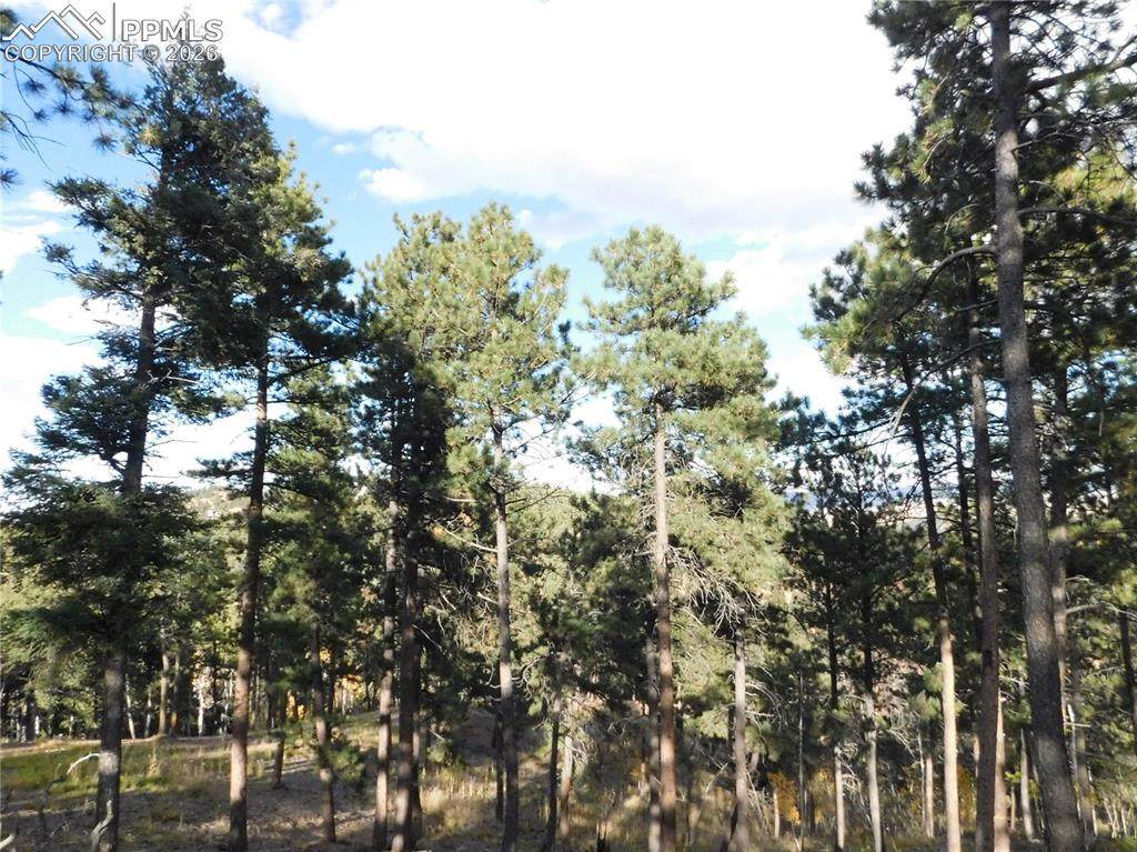 https://bt-photos.global.ssl.fastly.net/ppmls/orig_boomver_1_5816789-2.jpg