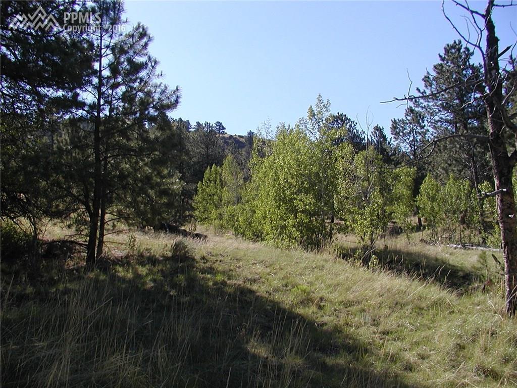 653 Lakeview Forest Heights - Photo 1
