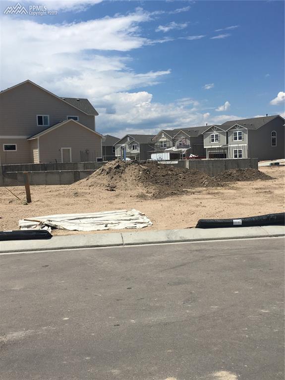 7407 Cat Tail Creek Drive - Photo 1