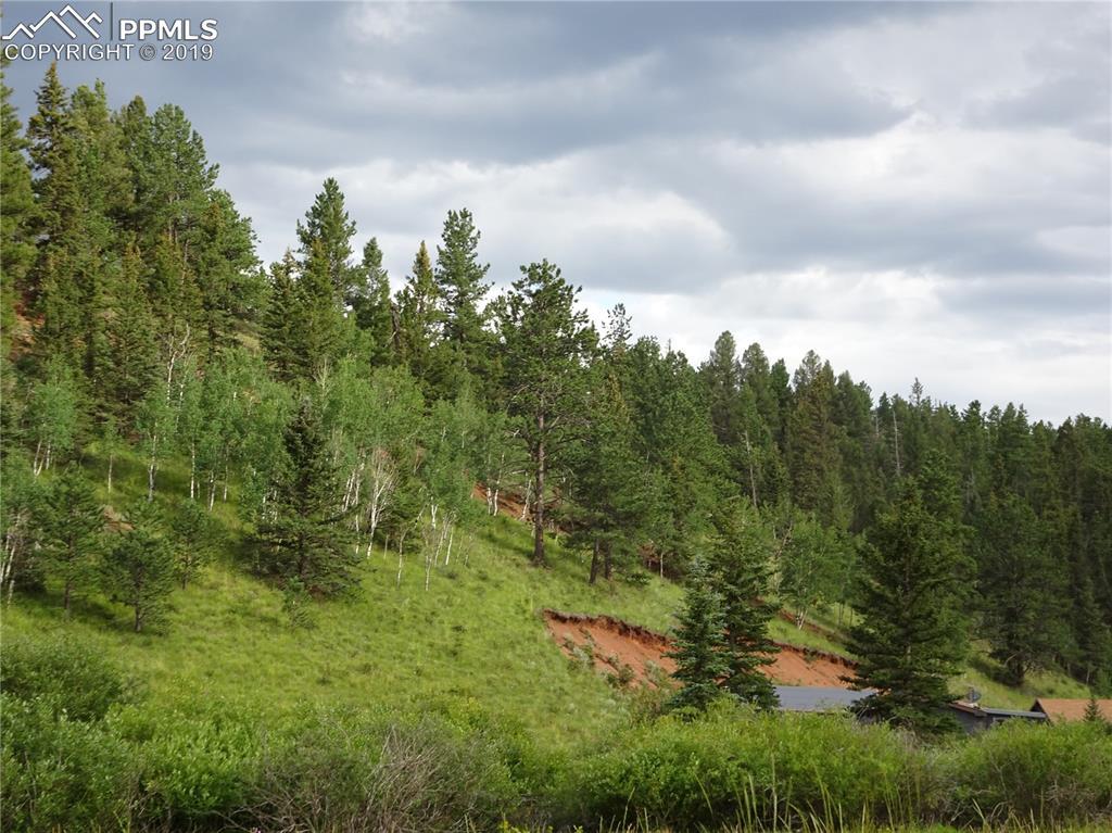 1676 Pathfinder Road - Photo 1