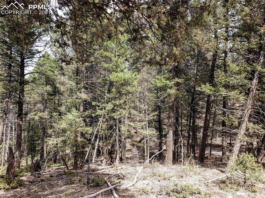1897 Mountain Estates Road - Photo 1
