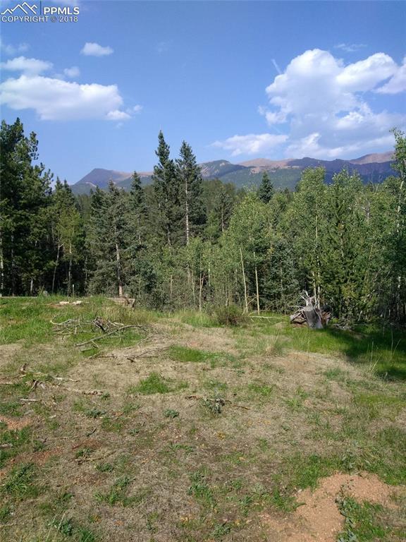 TBD Highway 61 Road - Photo 1