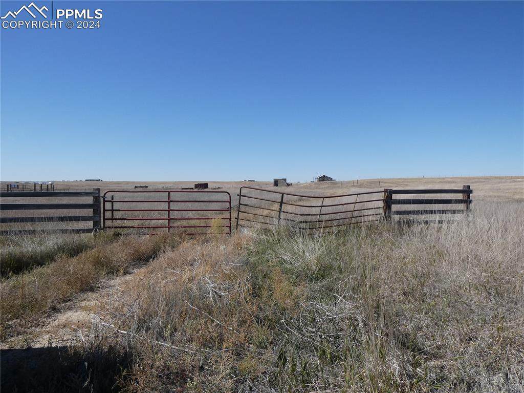 11701 County Road 137 - Photo 1