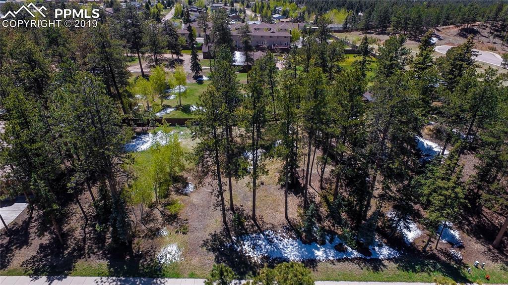 635 Meadowlark Lane - Photo 1