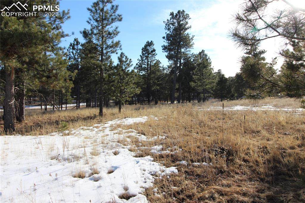 12172 Goodson Road - Photo 1