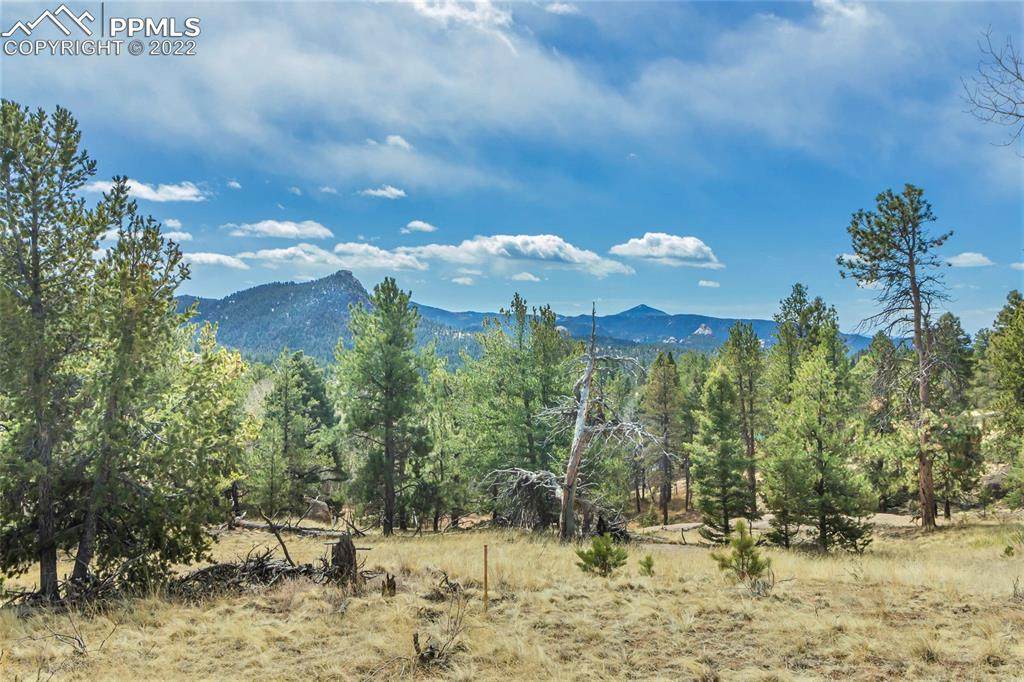 233 Pinon Lane - Photo 1