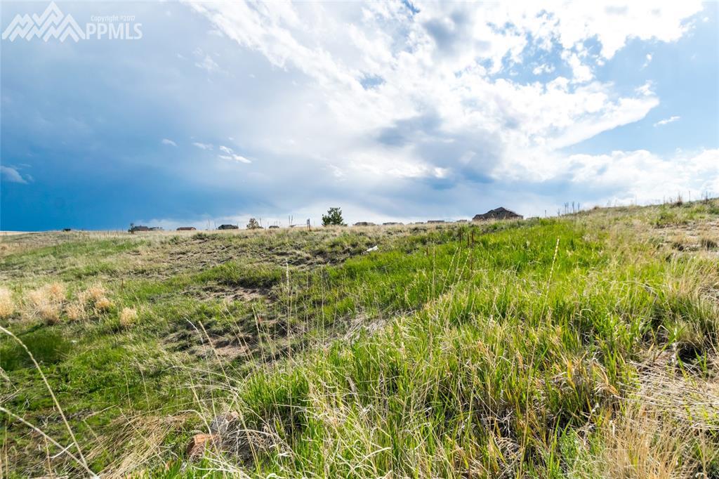 12070 Silver Concho Trail - Photo 1