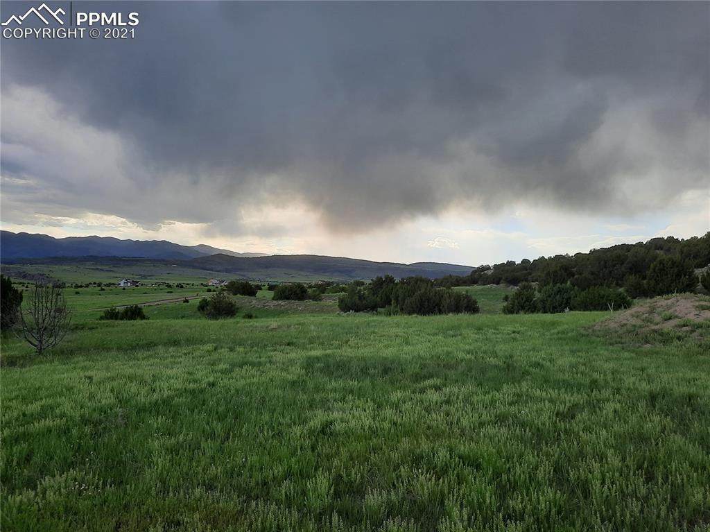 TBD Cedar Grove Road - Photo 1