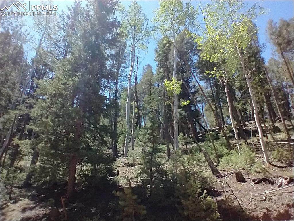 138 Glenwood Lane - Photo 1