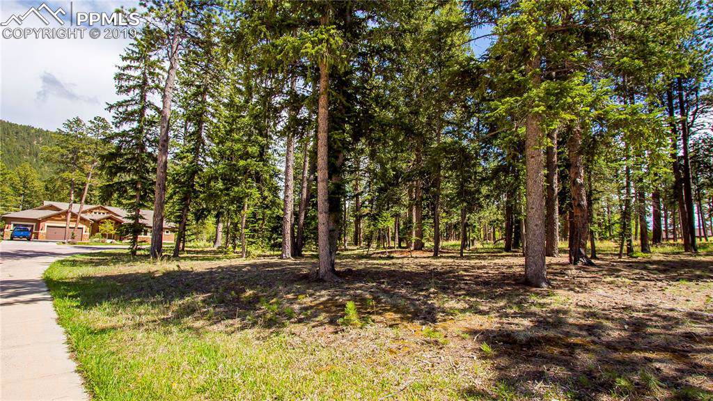 650 Chipmunk Drive - Photo 1
