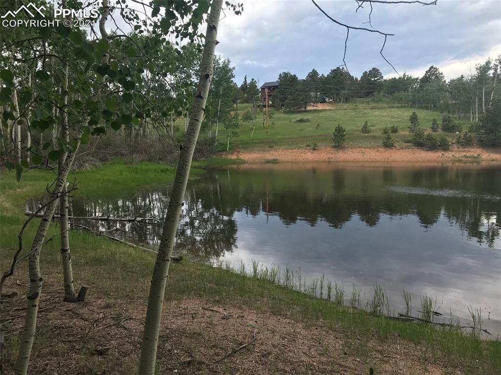 173 Wakanda Trail - Photo 1