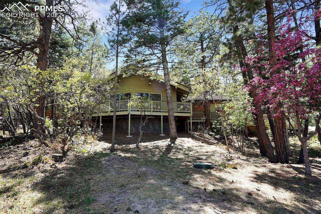28 Upland Road - Photo 1