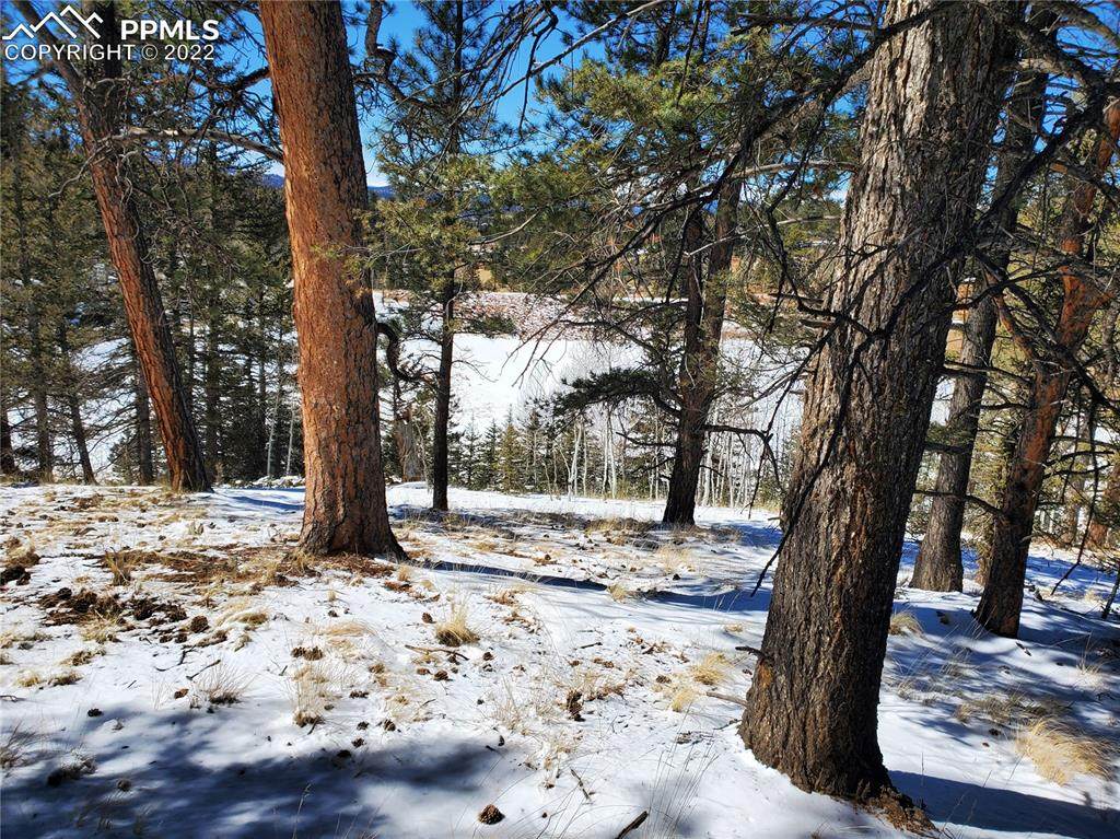 1076 Spring Valley Lane - Photo 1
