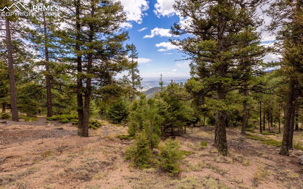 6860 Eagle Mountain Road - Photo 1