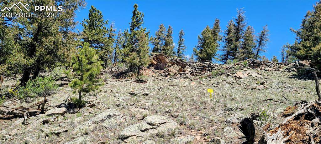 Lot 346 Trout Creek Lane - Photo 1