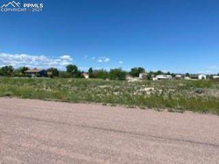 591 Datura Drive - Photo 1