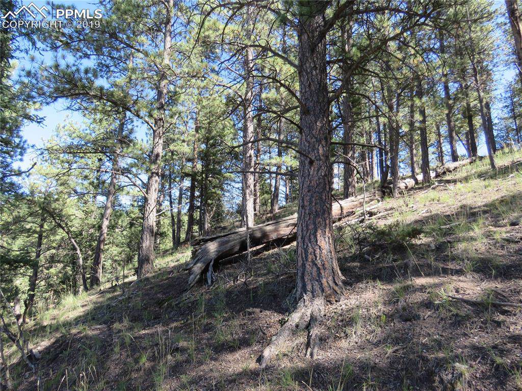 291 Mesa Drive - Photo 1