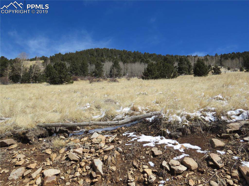 TBD Rhyolite Mountain - Photo 1