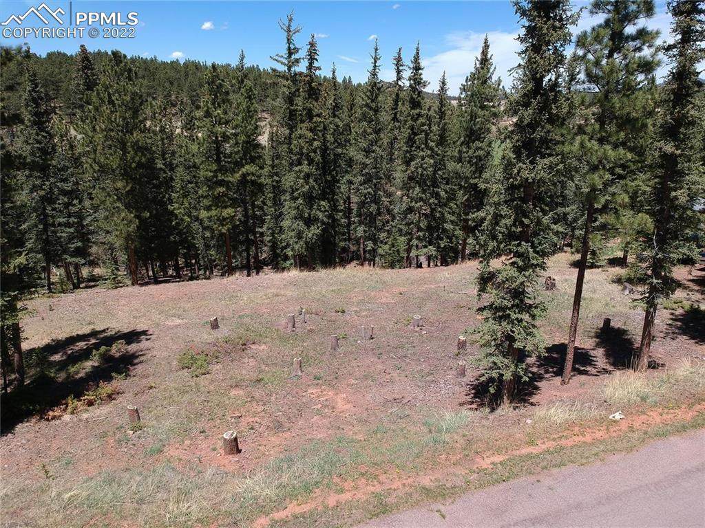 220 Iron Eagle Point - Photo 1