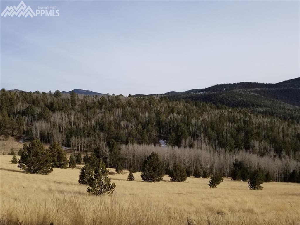 TBD 2 Highway 67 Road - Photo 1
