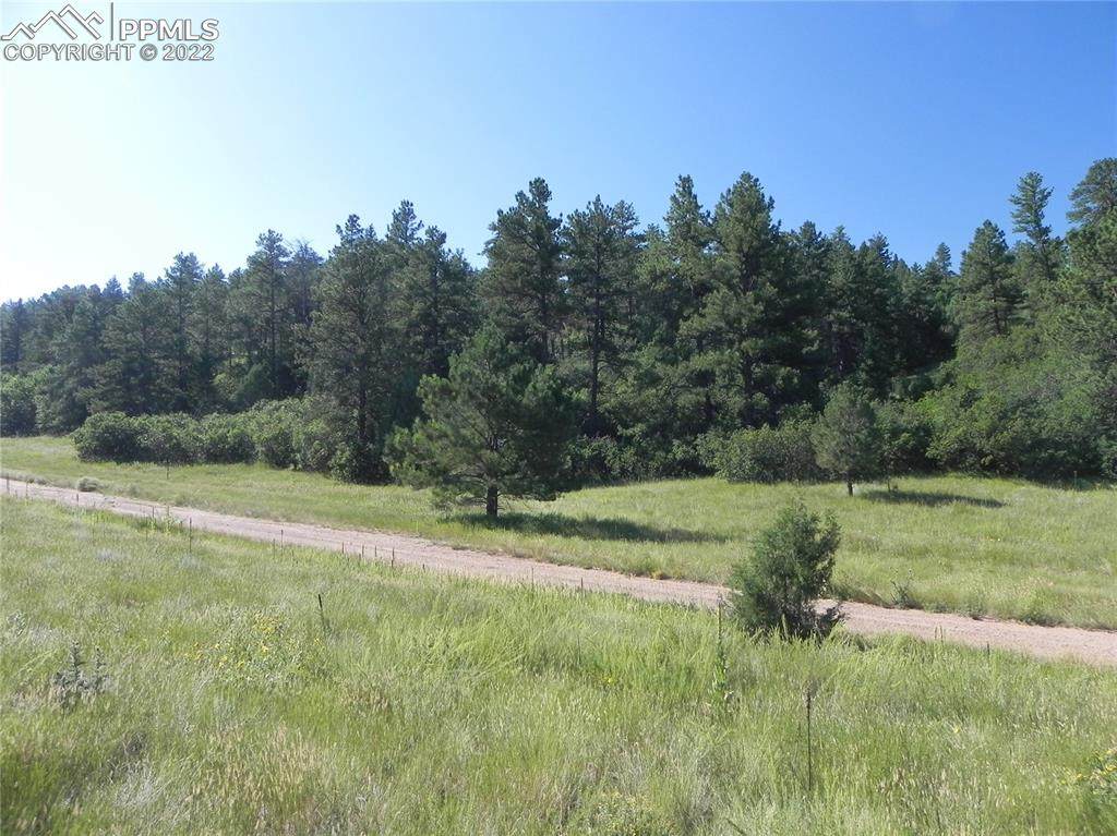 4742 Comanche Drive - Photo 1
