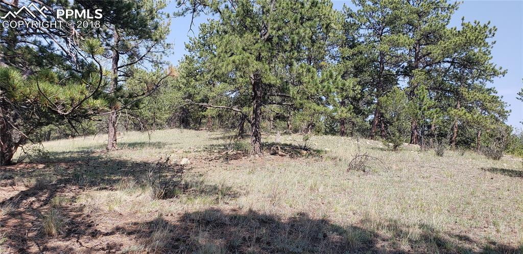 196 Apache Circle - Photo 1