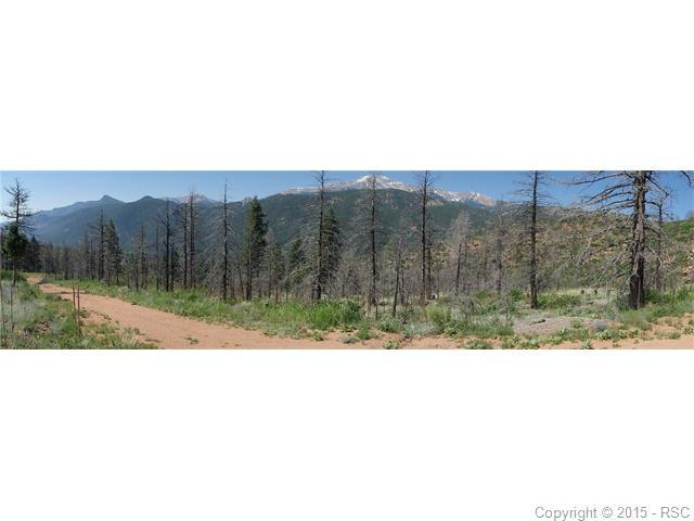 4201 Pyramid Mountain Road - Photo 1