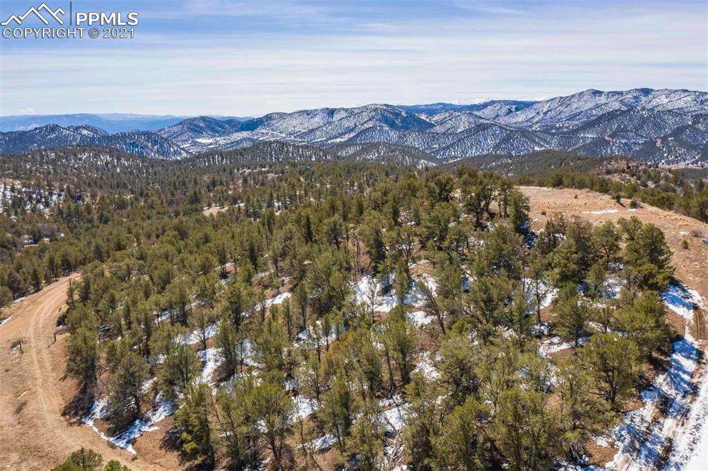 1427 Horse Thief Gulch Road - Photo 1