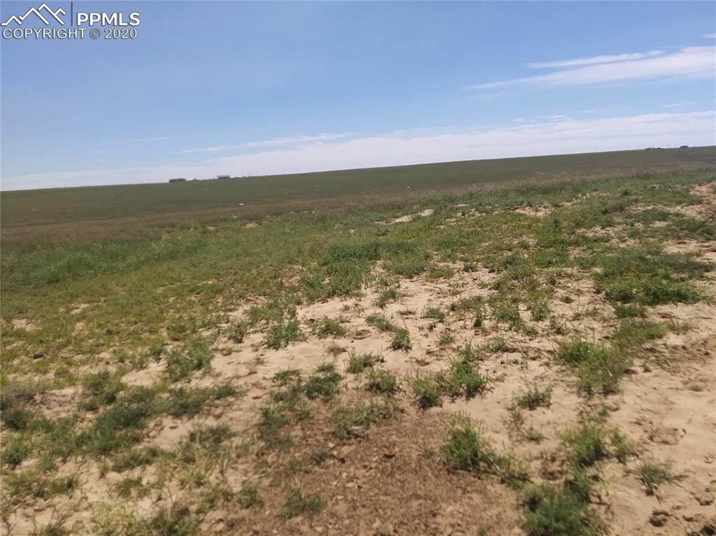 30090 Carl View - Photo 1