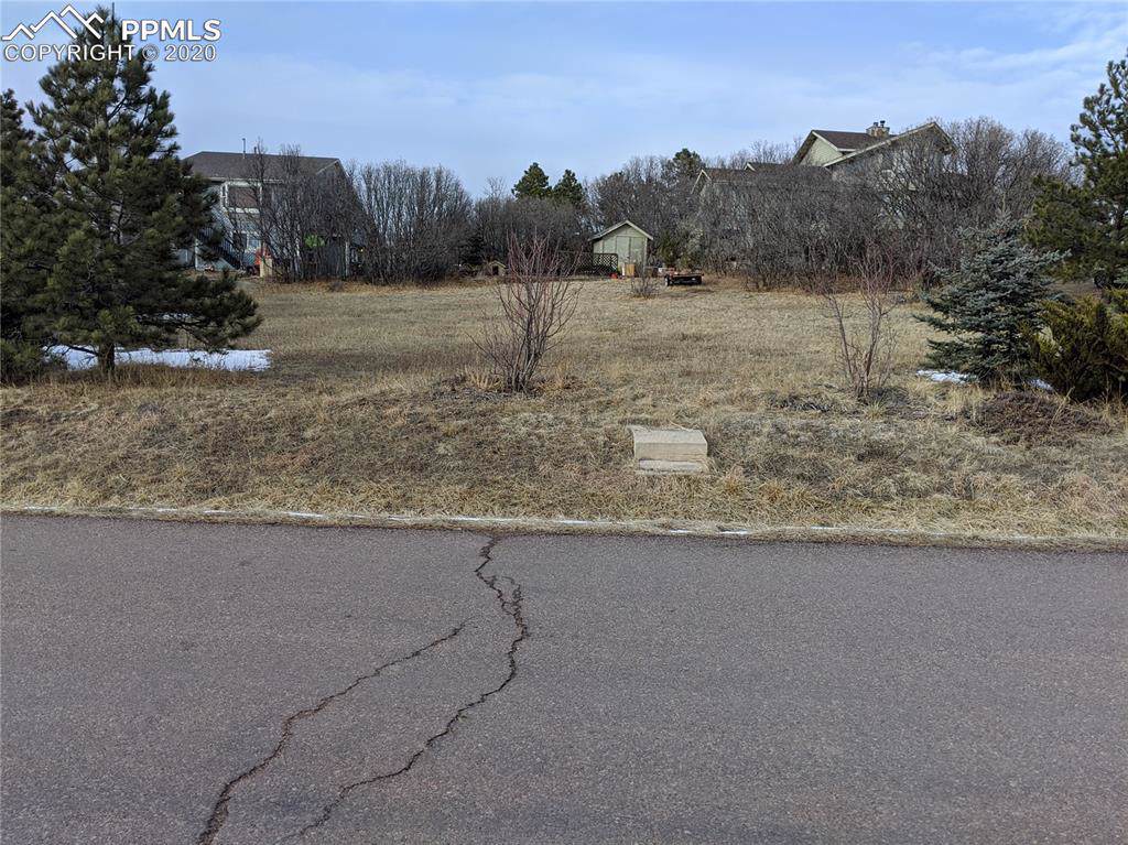 TBD Pauma Valley Drive - Photo 1