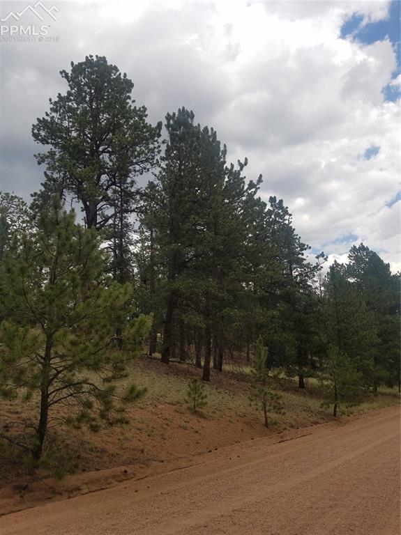 437 Black Mesa Circle - Photo 1