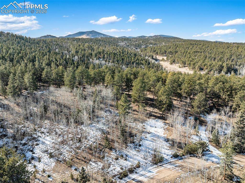 Lot 20 Echo Lake Drive - Photo 1