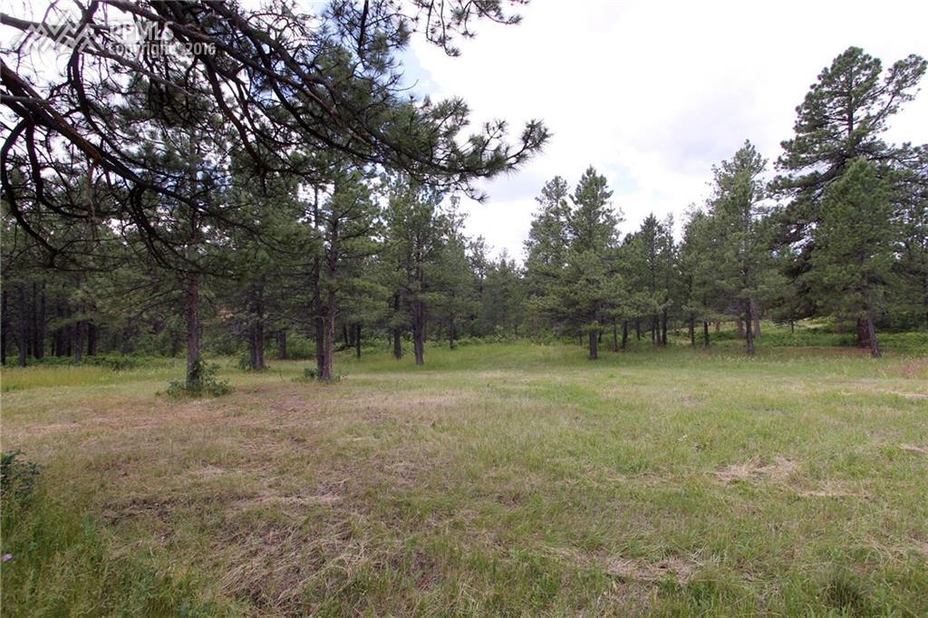 6792 Yampa Drive - Photo 1