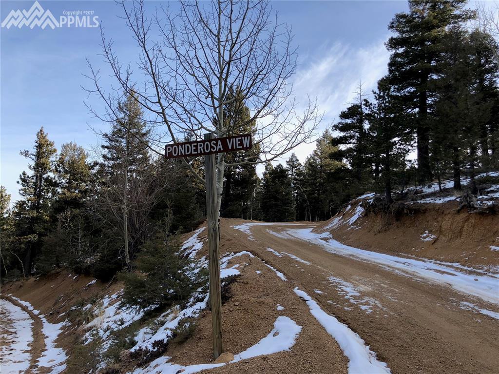 233 Ponderosa View - Photo 1